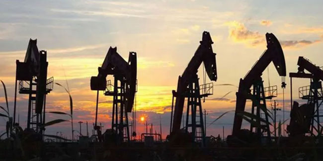 Bakan Soylu'dan ''Gabar petrolü'' açıklaması: Suudi Arabistan kalitesinde