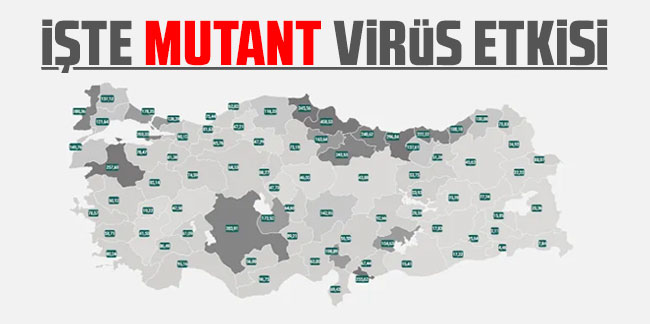 İşte mutant virüsün haritaya etkisi!