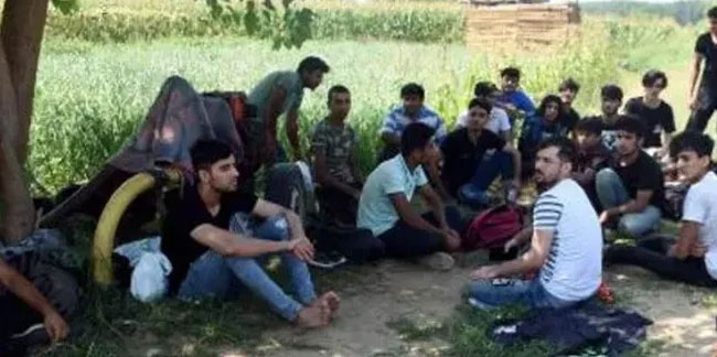 Afgan göçmenler Edirne'ye akın etti