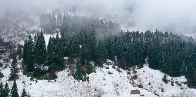Trabzon-Gümüşhane sınırında kar yağışı etkili oldu! Zigana Dağı beyaza büründü