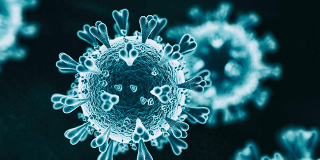 Çin'den yeni virüs salgını uyarısı 