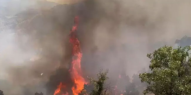 Bingöl’deki orman yangınında 2'nci gün! Müdahale devam ediyor