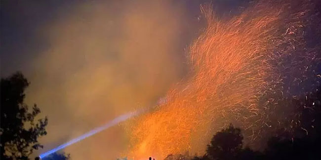 Mersin'de orman yangını! 6 saatte söndürüldü, 51 dönüm zarar gördü