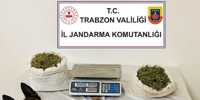 Trabzon'da uyuşturucu operasyonu: 1 tutuklama