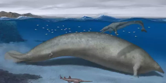 Dünyanın en ağır hayvanı keşfedildi: Tam 200 ton