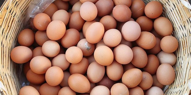 Üreticilerden yumurta fiyatı uyarısı