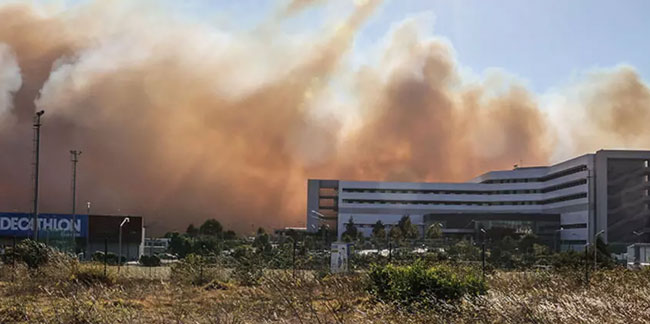Portekiz'de orman yangını çıktı