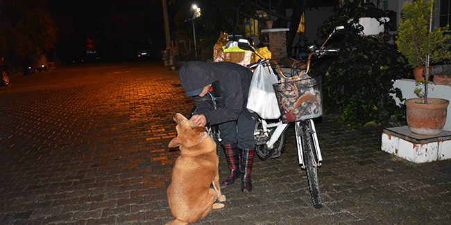 Bisikletiyle sokak sokak dolaşıp kedi ve köpekleri besliyor