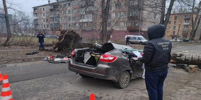 Rusya’da fırtına nedeniyle devrilen ağaç otomobile devrildi, 2 kişi hayatını kaybetti