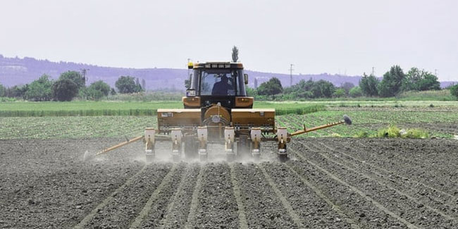 Çiftçilere 972 milyon liralık tarımsal destek ödemesi başladı