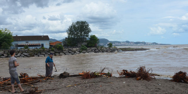 Sel sonrası kıyıya vuran odunlar, vatandaşlar tarafından toplanıyor
