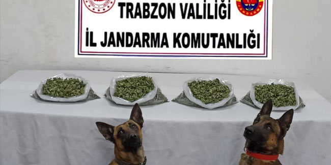 Trabzon'da uyuşturucu satıcılarına geçit yok