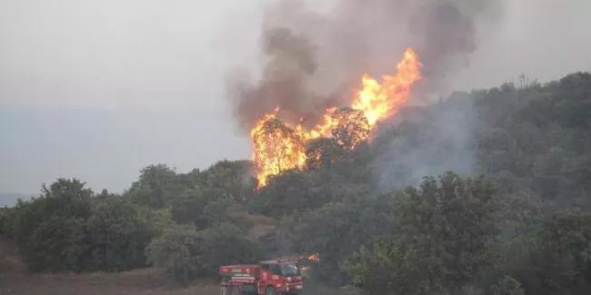 Manisa'daki orman yangınında 'sabotaj' şüphesi