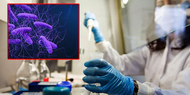 Uyarı: Ölümcül süper bakteri insanlara geçebilir!
