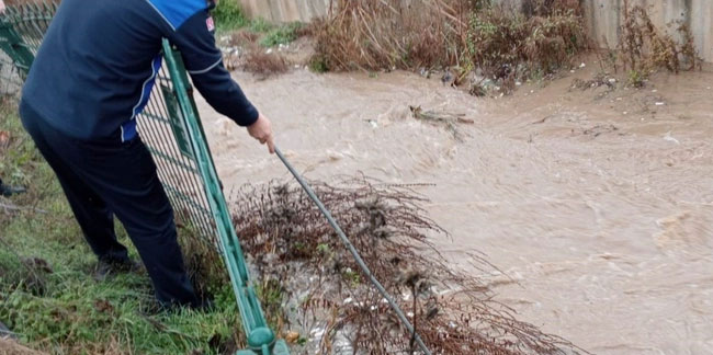 Kütahya'da sel sularına kapılan kediyi itfaiye ekipleri kurtardı