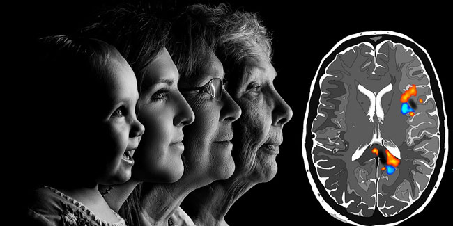 Sağlıklı beslenme Alzheimer riskini azaltıyor