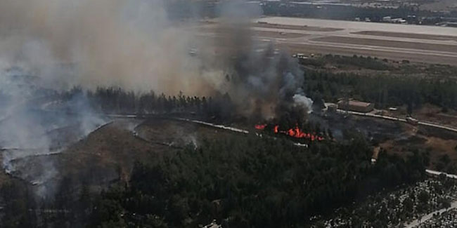 İzmir'de ağaçlandırma sahasında yangın