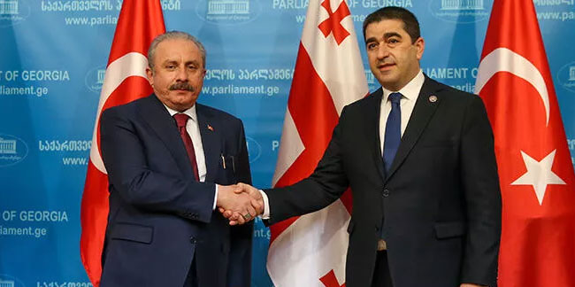 TBMM Başkanı Şentop, Gürcistan Parlamentosu Başkanı Papuashvili ile görüştü