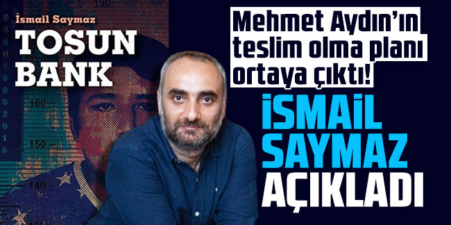Mehmet Aydın’ın teslim olma planı ortaya çıktı! İsmail Saymaz açıkladı