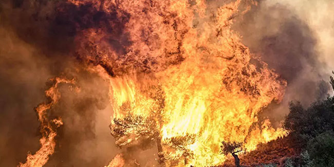 Yunanistan'da devam eden yangınlarda 18 kişinin cesedi bulundu