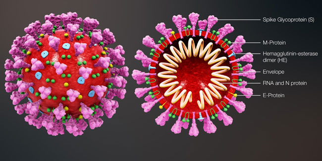 Virüs 14 milyondan fazla kişiye bulaştı