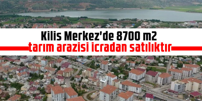 Kilis Merkez'de 8700 m2 tarım arazisi icradan satılıktır (çoklu satış)