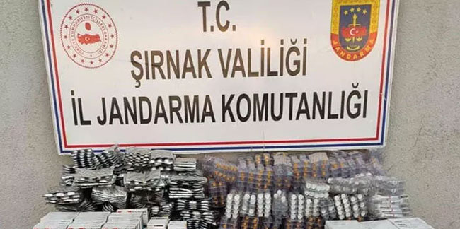 Şırnak'ta kaçakçılık operasyonlarında 44 gözaltı