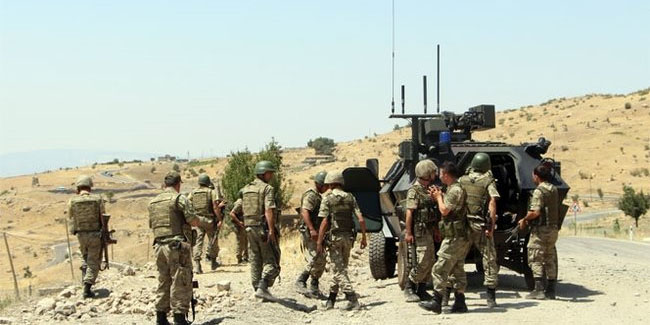 Şırnak'ta terör operasyonu: 10 gözaltı
