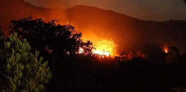 AFAD'tan 6 ilimiz için orman yangını uyarısı