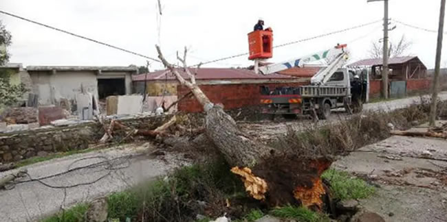 Çanakkale’de lodos fırtınası ağaçları devirdi