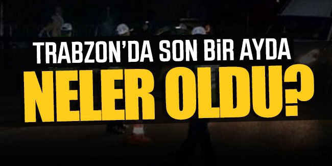 Trabzon'un asayiş raporu! 1 ayda neler oldu?