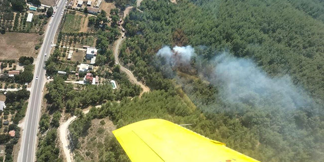 İzmir’de orman yangını büyümeden söndürüldü
