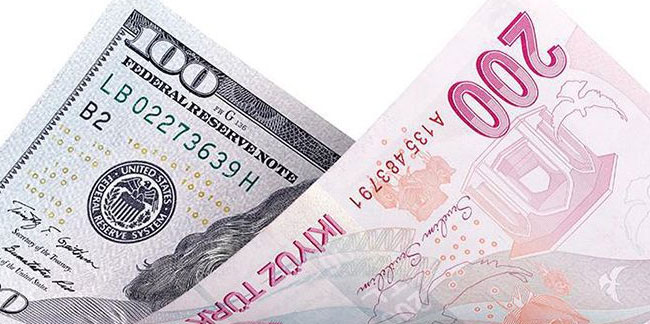 Son anket: 2022'de dolar karşısında Türk Lirası için ürküten tahmin