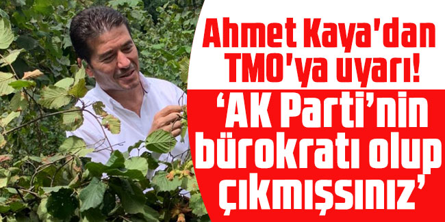 Ahmet Kaya'dan TMO'ya uyarı! “AKP’nin bürokratı olup çıkmışsınız”