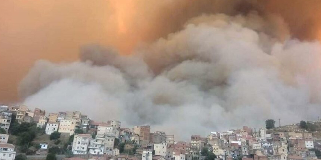 Cezayir’de yangın 14 eyalete sıçradı: Ölü sayısı artıyor