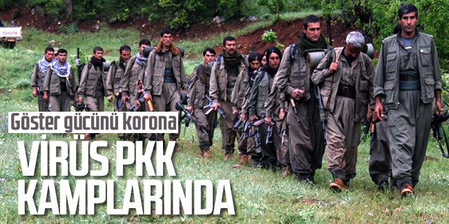 Koronavirüs PKK kamplarına da sıçradı