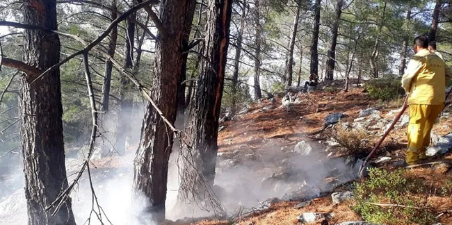 Muğla'da yıldırımlar nedeniyle 28 ormanda yangın çıktı