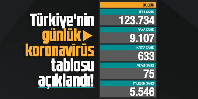 23 Şubat Türkiye'de koronavirüste son durum