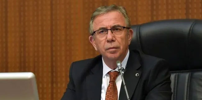 Mansur Yavaş: Sokak köpeklerini sadece kısırlaştırmak yetmez | Karadeniz Gazetesi