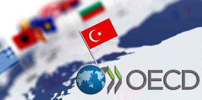 OECD, Türkiye'nin büyüme tahminini duyurdu