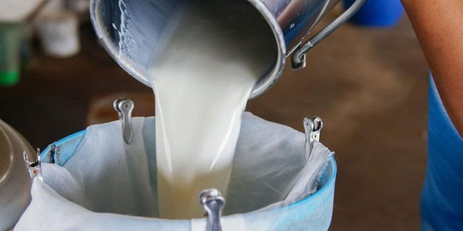 Süt krizi büyüyor! Üreticiler artan maliyetten şikayetçi