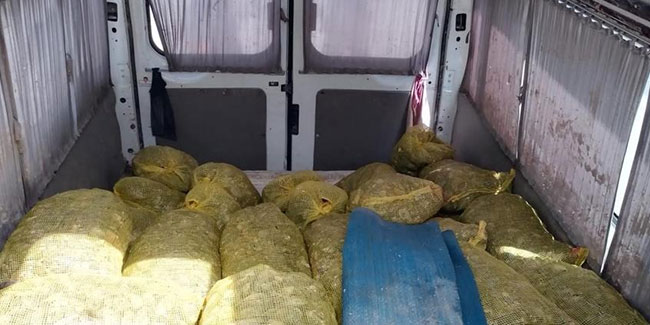 Samsun'da deniz polisi 80 çuval kaçak midye ele geçirdi