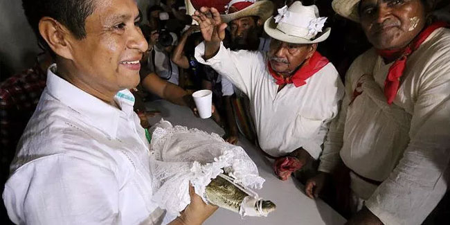 Meksika'da asırlık gelenek! Belediye başkanı timsahla evlendi...