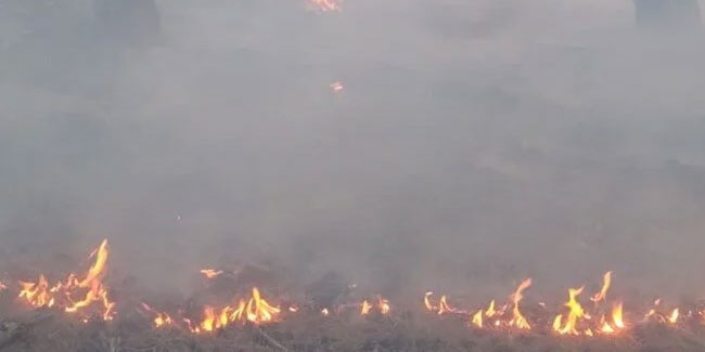 Konya'da orman yangını! Ekipler sevk edildi