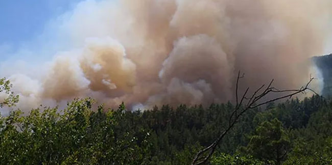 Burdur'da orman yangını! Alevler evleri tehdit ediyor