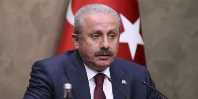 TBMM Başkanı Şentop: HDP'li Gergerlioğlu'nun dosyası Meclis'te