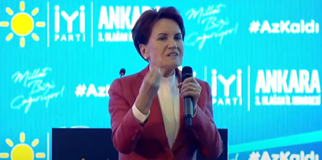 Meral Akşener: ''Gerçekten Erdoğan adına çok utanıyorum''