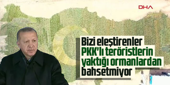 Cumhurbaşkanı Erdoğan: Bizi eleştirenler PKK'lı teröristlerin yaktığı ormanlardan bahsetmiyor