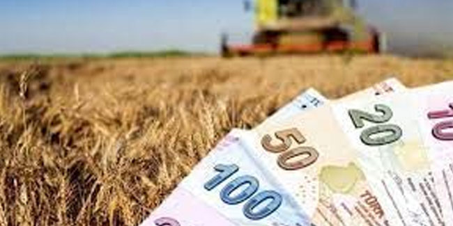 Çiftçileri sevindiren haber geldi! Destek ödemeleri hesaplara yatırılıyor