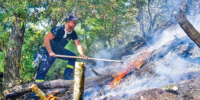 Gürcistan’da orman yangınları sürüyor